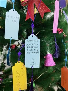 IMG_20190222_103847
